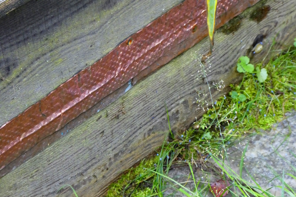 Kupferband gegen Schnecken und Hochbeet