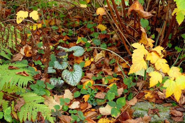 Herbst im Garten_Nichts_tun